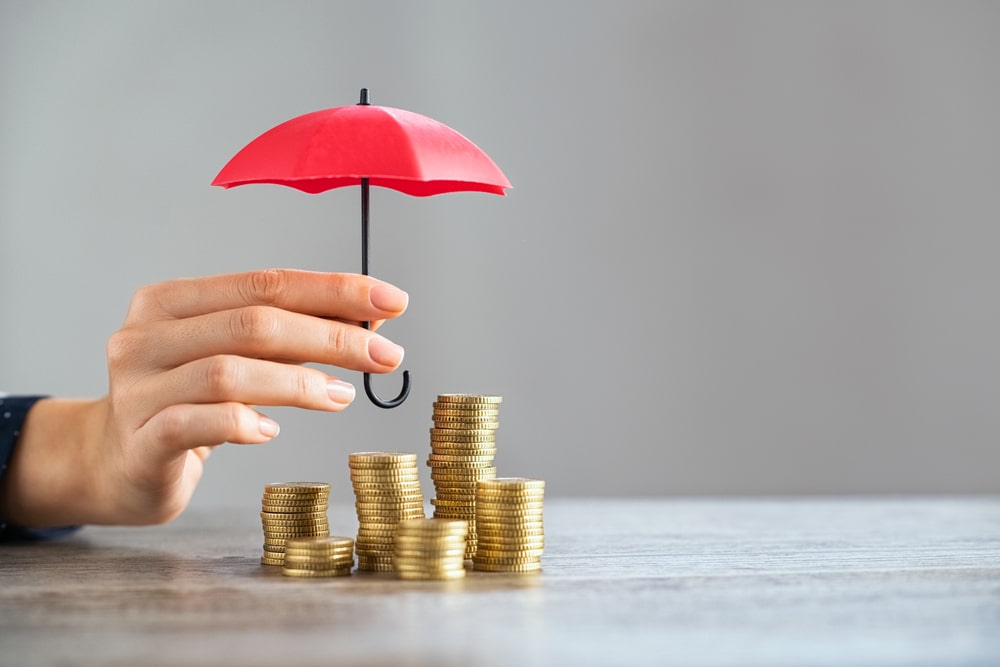 La Vendée, un lieu idéal pour l’investissement